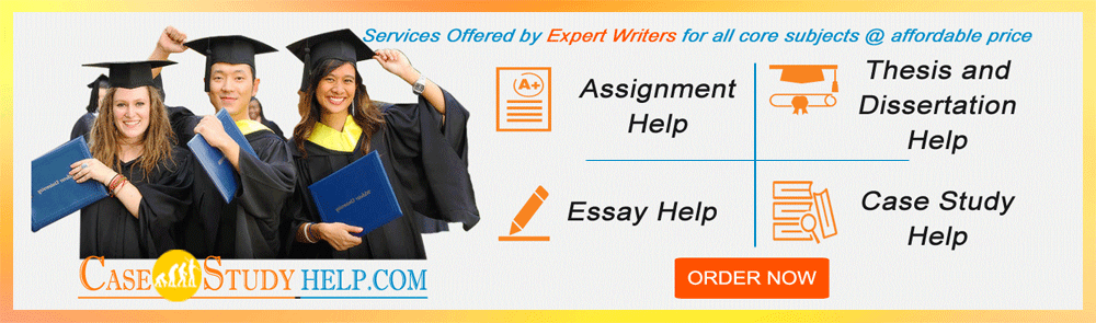 Business case study writers