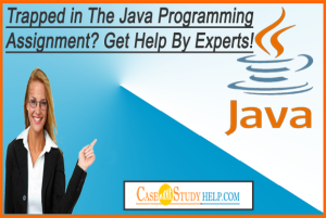 Trapped in The Java Programming Assignment? - Essay Assignment Writing ...