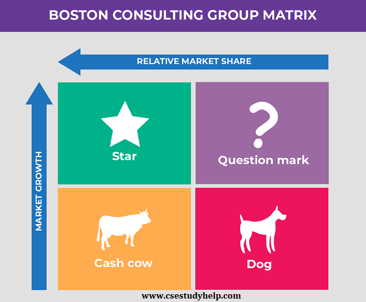 What is the BCG Matrix? Definition, Example, Template and Guide Essay