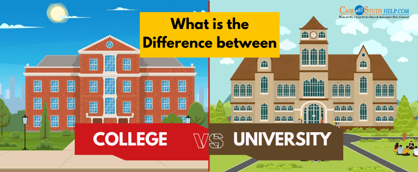 What is the Difference between College and University?