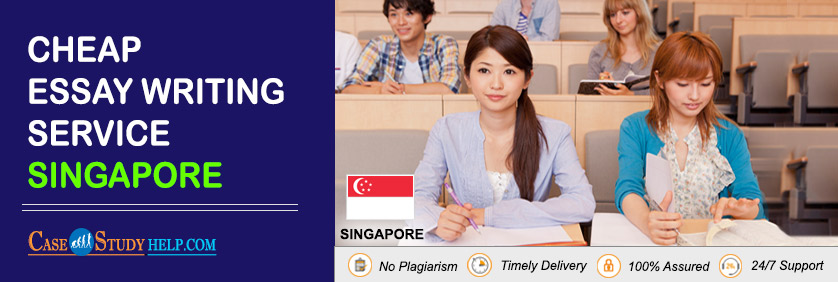 Essay writing service singapore