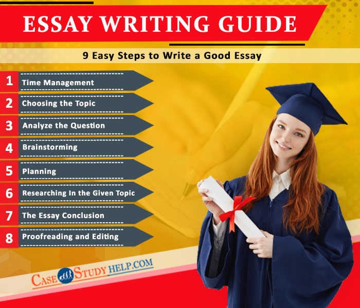 essay writing guide