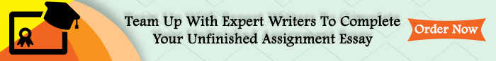 assignment writing experts