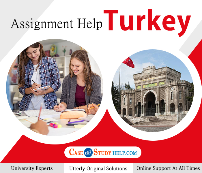 assignment help turkey
