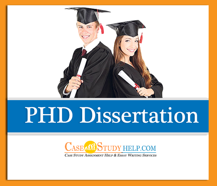 what is doctoral study dissertation